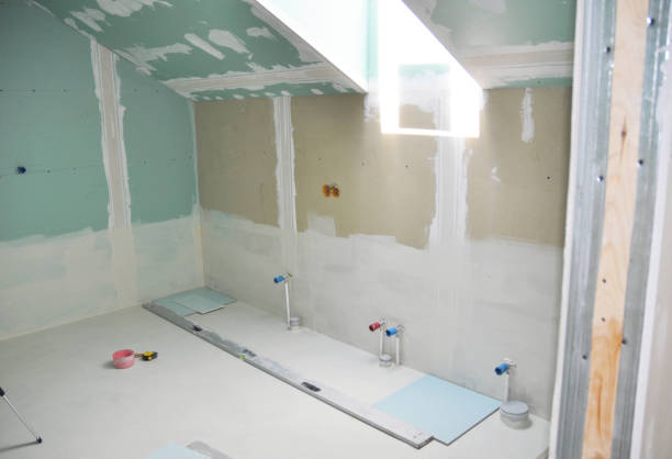 Best Real Estate Mold Inspection  in Carthage, IL