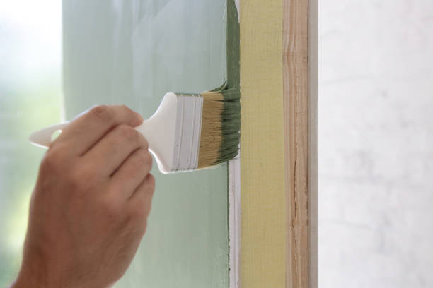Best Mold Damage Restoration  in Carthage, IL