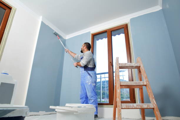 Best Environmental Consulting for Mold Prevention  in Carthage, IL