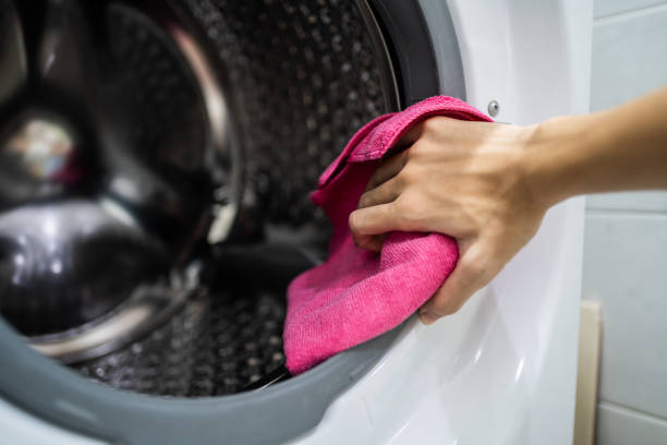 Mold Documentation for Insurance Claims in Carthage, IL