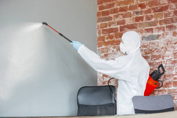 Carthage, IL Mold Removal Pros