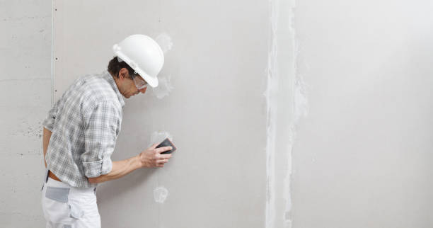 Best Basement Mold Removal  in Carthage, IL