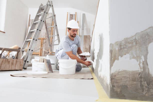 Best Commercial Mold Inspection  in Carthage, IL
