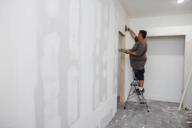 Mold Removal for HVAC Installations in Carthage, IL