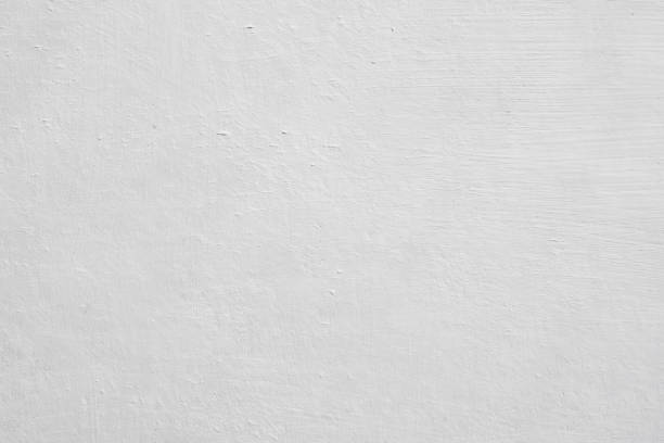 Professional Mold Removal in Carthage, IL