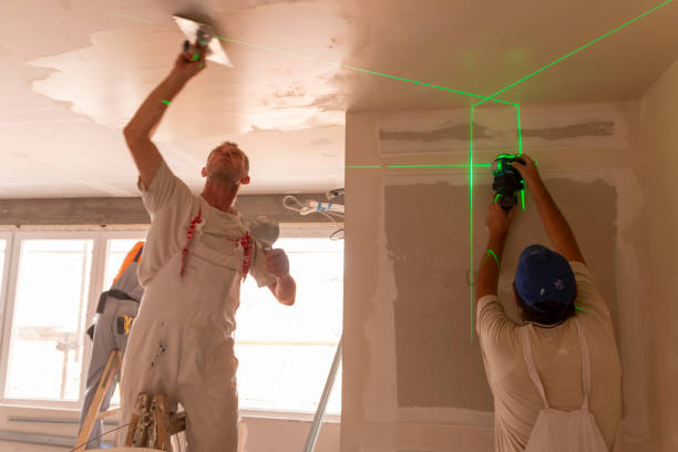 Environmental Consulting for Mold Prevention in Carthage, IL