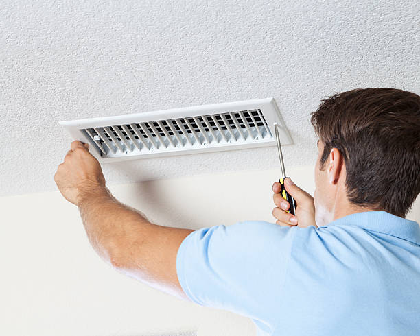 Mold Odor Removal Services in Carthage, IL