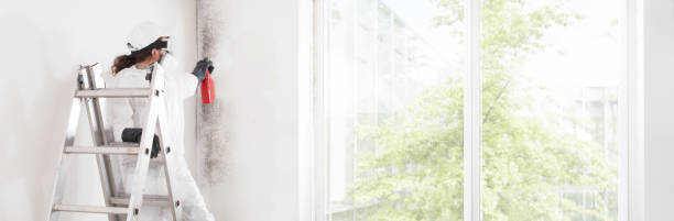 Best HVAC Mold Inspection and Cleaning  in Carthage, IL