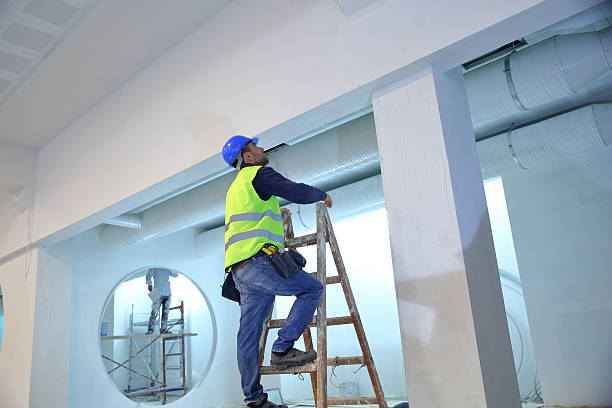 Best Mold Remediation for Healthcare Facilities  in Carthage, IL