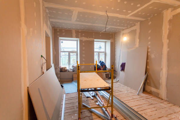 Best Industrial Mold Remediation  in Carthage, IL