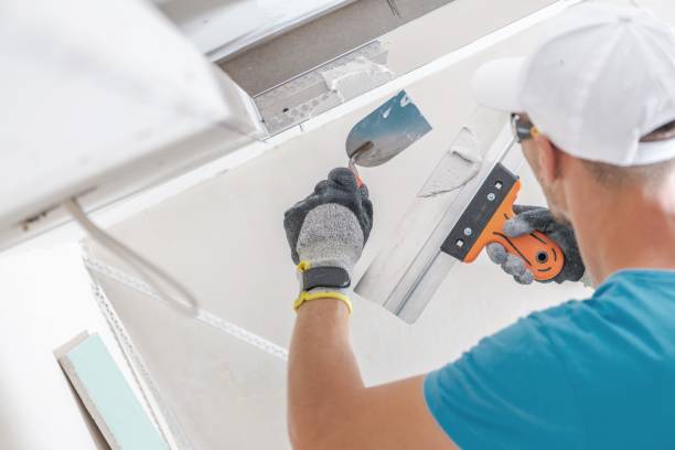 Best Real Estate Mold Inspection  in Carthage, IL